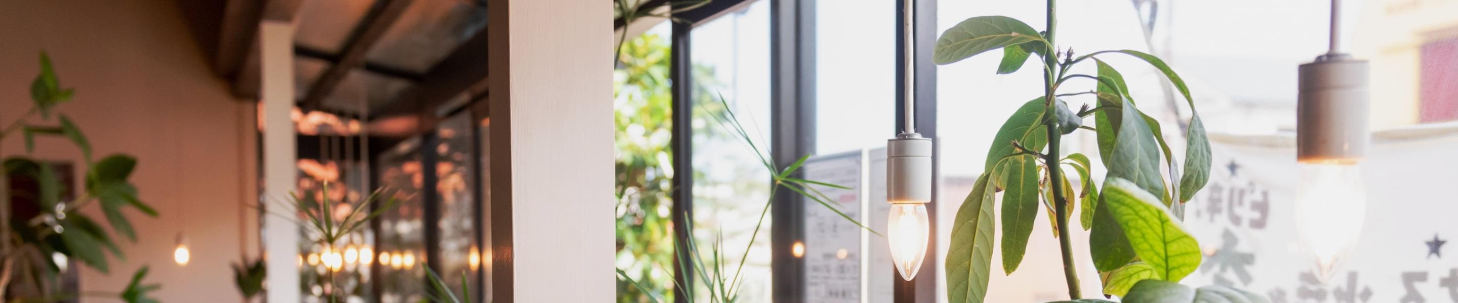 私たちについての画像