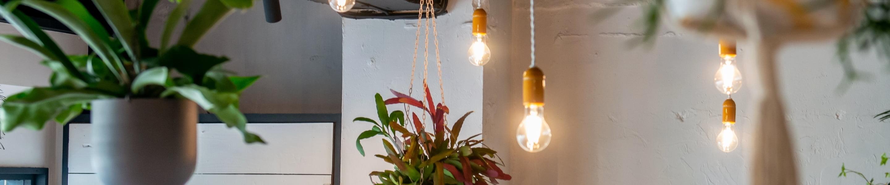 私たちについての画像