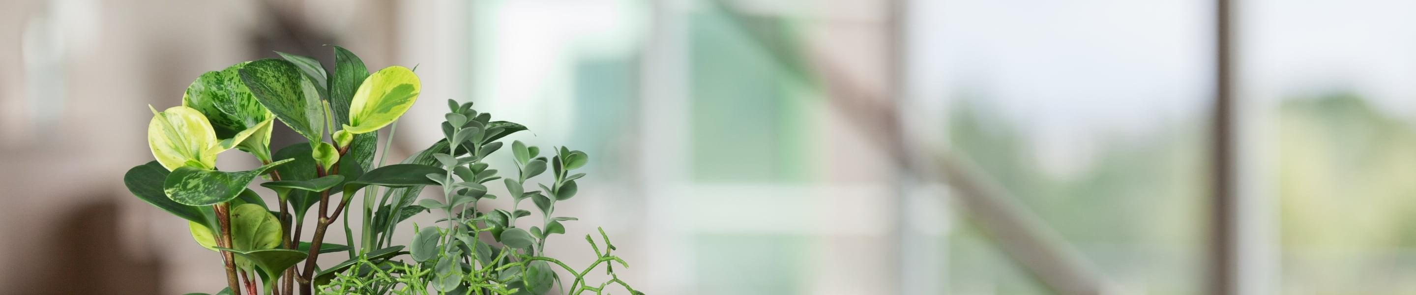 事業実績の画像